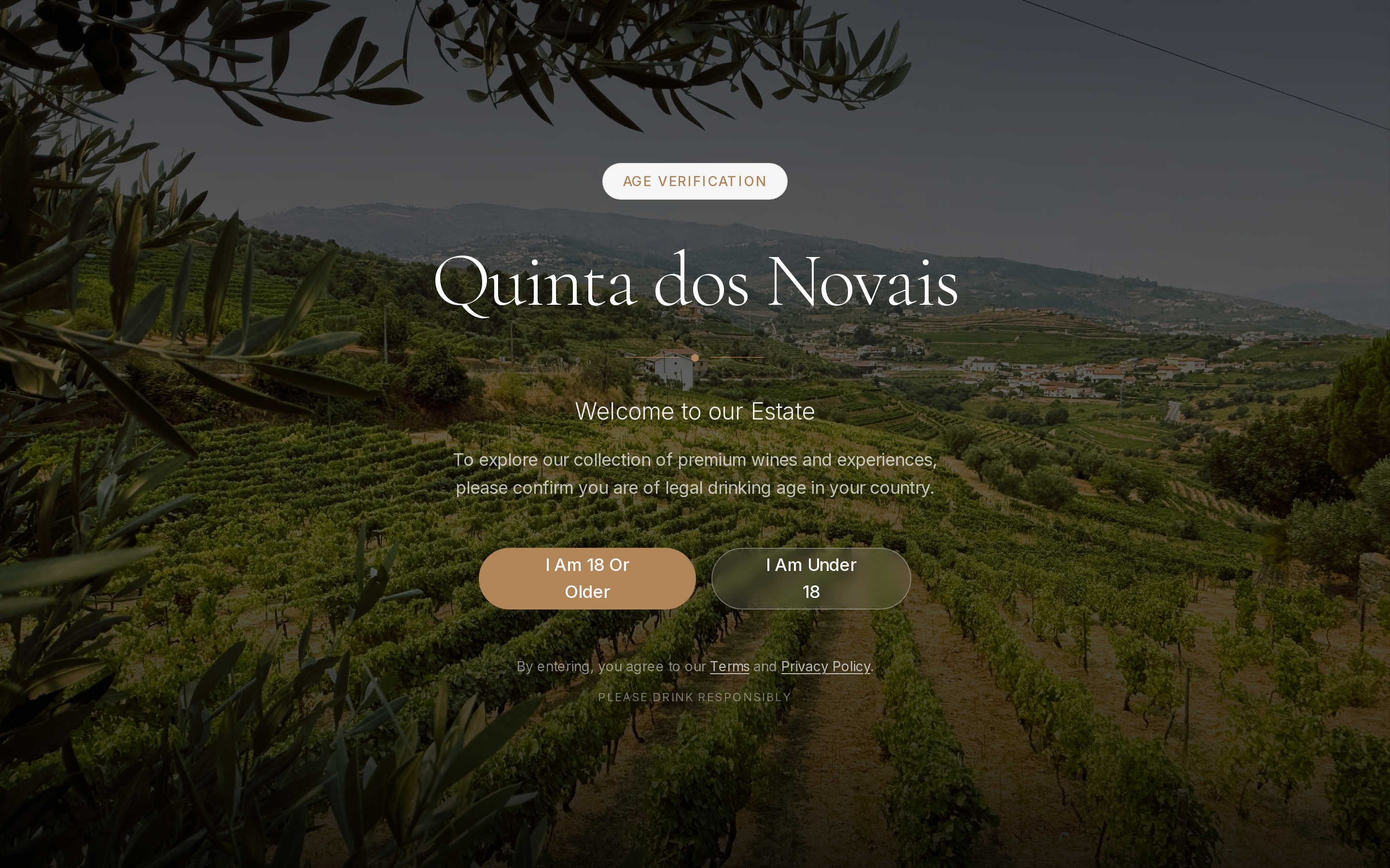 Quinta dos Novais live website screenshot